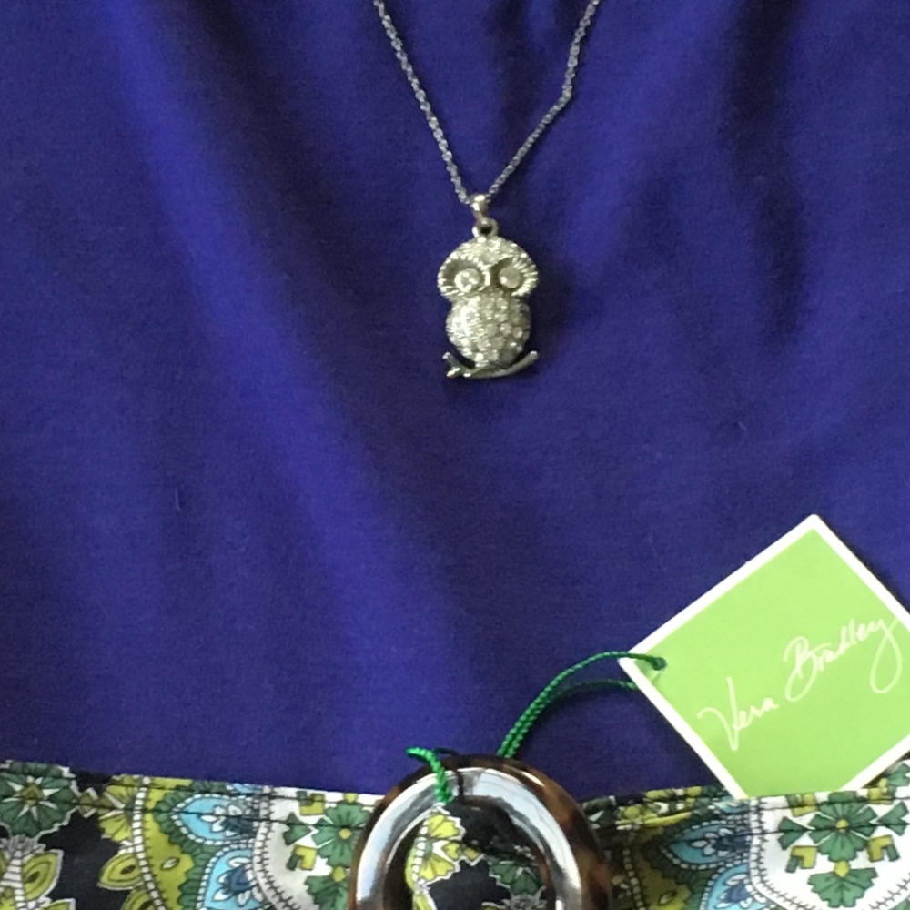 Short Silver Studded Rhinestone Owl Necklace